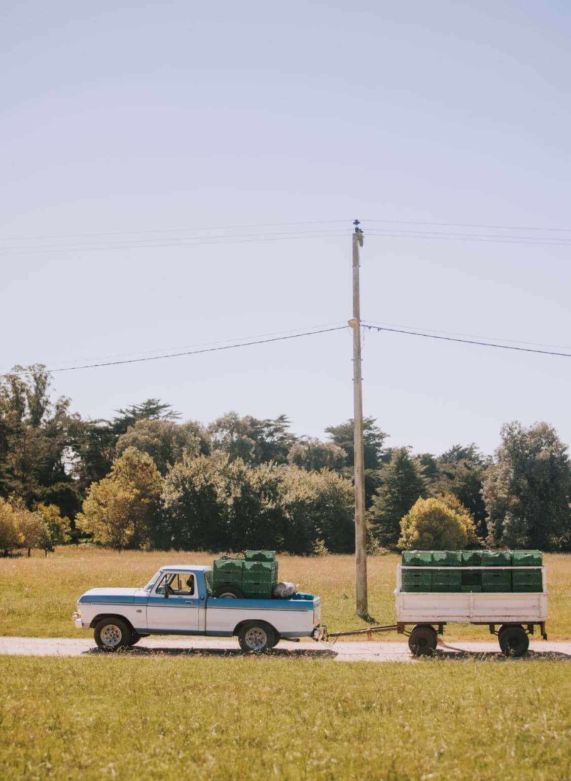 Una foto de una camioneta acarreando un conteiner mediano que transporta mercancía por un camino, el paisaje de alrededor es campestre. Se observa el pasto verde bien cortado con árboles al fondo y al lado de la ruta un poste de electricidad.